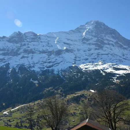 Apartment Schneerose - Griwa Rent Ag Grindelwald Exterior photo