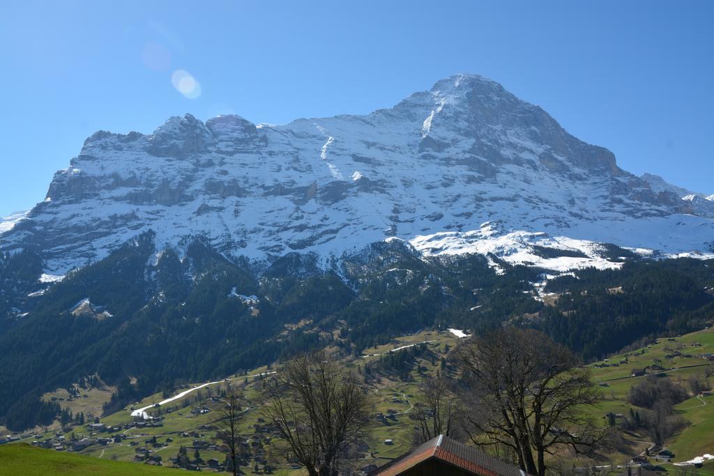 Schneerose - Griwa Rent Ag Appartement *